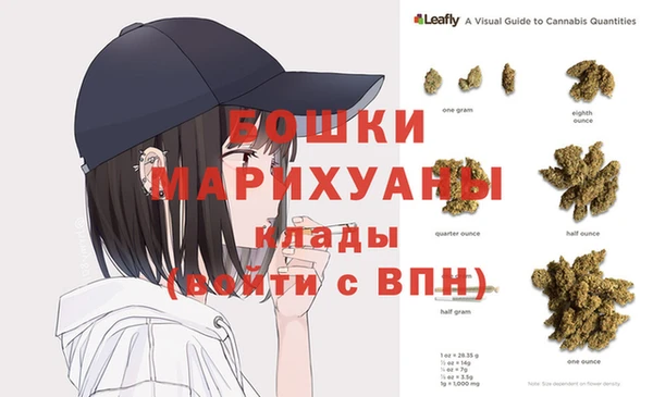 индика Майский