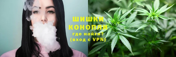 индика Майский