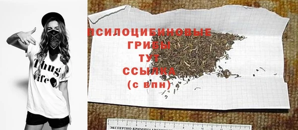 индика Майский