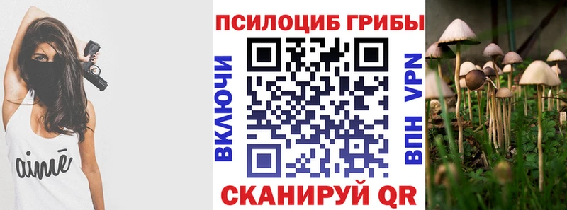 MEGA tor  наркота  Стерлитамак  Галлюциногенные грибы Magic Shrooms 